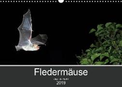 Fledermäuse - Jäger der Nacht (Wandkalender 2019 DIN A3 quer)