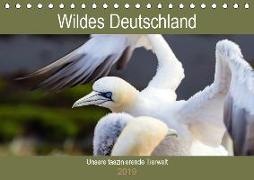 Wildes Deutschland - Unsere faszinierende Tierwelt (Tischkalender 2019 DIN A5 quer)