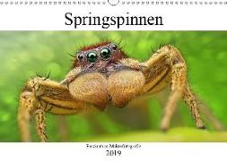 Faszination Makrofotografie: Springspinnen (Wandkalender 2019 DIN A3 quer)