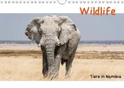 Wildlife - Tiere in Namibia (Wandkalender 2019 DIN A4 quer)
