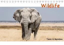 Wildlife - Tiere in Namibia (Tischkalender 2019 DIN A5 quer)