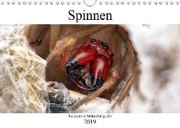 Faszination Makrofotografie: Spinnen (Wandkalender 2019 DIN A4 quer)