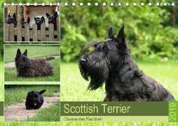 Scottish Terrier - Charmantes Rauhbein (Tischkalender 2019 DIN A5 quer)