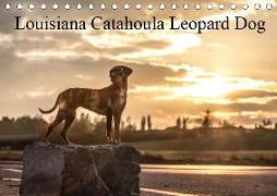 Louisiana Catahoula Leopard Dog 2019 (Tischkalender 2019 DIN A5 quer)