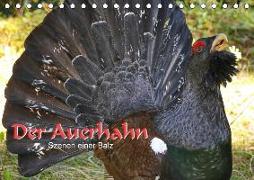 Der Auerhahn - Szenen einer Balz (Tischkalender 2019 DIN A5 quer)