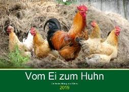 Vom Ei zum Huhn. Die Entwicklung von Küken (Wandkalender 2019 DIN A2 quer)