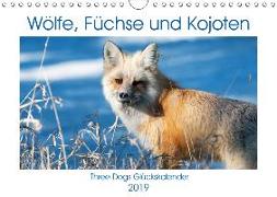 Wölfe, Füchse und Kojoten (Wandkalender 2019 DIN A4 quer)