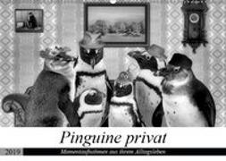 Pinguine privat (Wandkalender 2019 DIN A2 quer)