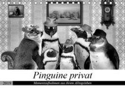 Pinguine privat (Tischkalender 2019 DIN A5 quer)