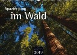 Spaziergang im Wald (Wandkalender 2019 DIN A2 quer)