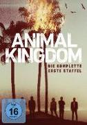 Animal Kingdom (Die komplette 1. Staffel) (3 Discs)