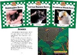 Bats Set 2: Checkerboard Animal Library Anniversary Edition