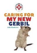 Caring for My New Gerbil