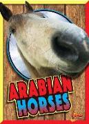 Arabian Horses