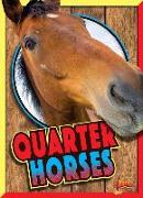 Quarter Horses