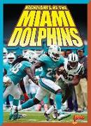 Highlights of the Miami Dolphins