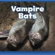 Vampire Bats