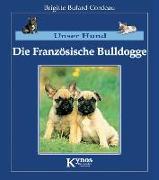 Die Französische Bulldogge