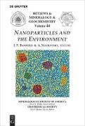 Nanoparticles and the Environment