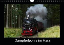 Dampferlebnis im Harz (Wandkalender 2019 DIN A4 quer)