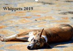 Whippet 2019AT-Version (Wandkalender 2019 DIN A3 quer)