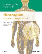 Organsysteme verstehen: Nervensystem