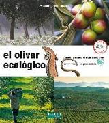 El olivar ecológico : aprender a observar el olivar y comprender sus procesos vivos para cuidarlo