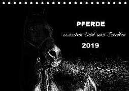 Pferde zwischen Licht und Schatten (Tischkalender 2019 DIN A5 quer)