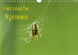 Heimische Spinnen (Wandkalender 2019 DIN A4 quer)