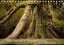 Märchenhafter Reinhardswald und Urwald Sababurg (Tischkalender 2019 DIN A5 quer)