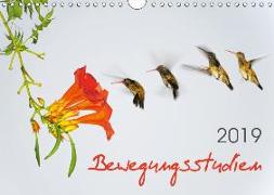 Bewegungsstudien (Wandkalender 2019 DIN A4 quer)