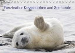 Faszination Kegelrobben und Seehunde 2019 (Tischkalender 2019 DIN A5 quer)