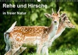 Rehe und Hirsche in freier Natur (Wandkalender 2019 DIN A3 quer)