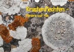Krustenflechten - Pioniere auf Fels (Wandkalender 2019 DIN A4 quer)