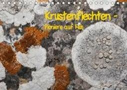 Krustenflechten - Pioniere auf Fels (Tischkalender 2019 DIN A5 quer)