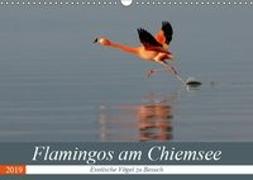Flamingos am Chiemsee (Wandkalender 2019 DIN A3 quer)