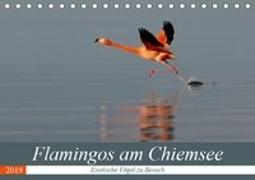 Flamingos am Chiemsee (Tischkalender 2019 DIN A5 quer)