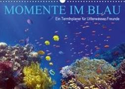 Momente im Blau - Ein Terminplaner für Unterwasser-Freunde (Wandkalender 2019 DIN A3 quer)