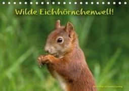 Wilde Eichhörnchenwelt! (Tischkalender 2019 DIN A5 quer)