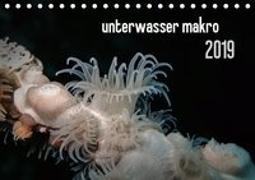 unterwasser makro 2019 (Tischkalender 2019 DIN A5 quer)