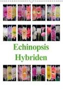 Echinopsis Hybriden (Wandkalender 2019 DIN A3 hoch)