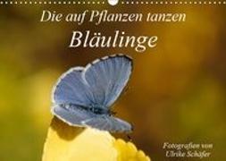 Die auf Pflanzen tanzen: Bläulinge (Wandkalender 2019 DIN A3 quer)