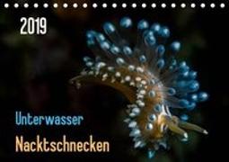 Unterwasser - Nacktschnecken 2019 (Tischkalender 2019 DIN A5 quer)