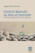 Ciottoli bianchi in riva al torrente. Storia di una famiglia italiana tra Otto e Novecento