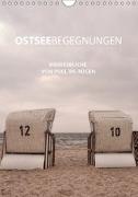 OstseeBegegnungen (Wandkalender 2019 DIN A4 hoch)