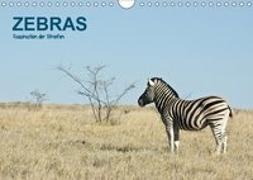 Zebras - Faszination der Streifen (Wandkalender 2019 DIN A4 quer)