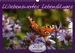 L(i)ebenswertes Lebenskluges (Wandkalender 2019 DIN A3 quer)