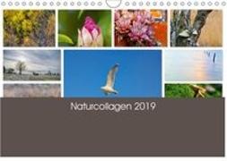 Naturcollagen 2019 (Wandkalender 2019 DIN A4 quer)