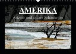 Amerika - Arizona und andere Schönheiten (Wandkalender 2019 DIN A3 quer)