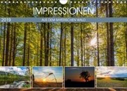 Impressionen aus dem Bayerischen Wald (Wandkalender 2019 DIN A4 quer)